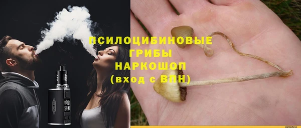 ALPHA-PVP Снежногорск