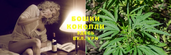 дмт Верея